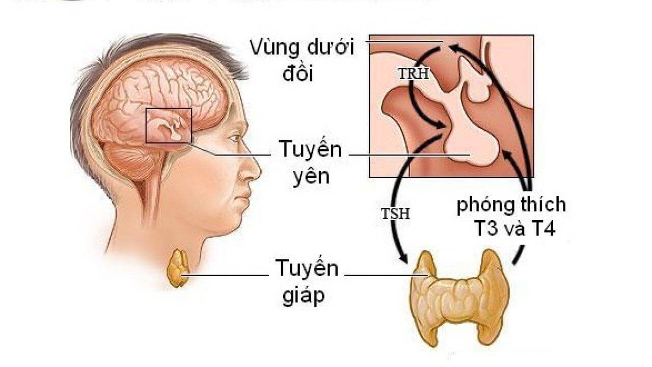 Ung Thư Tuyến Yên 5